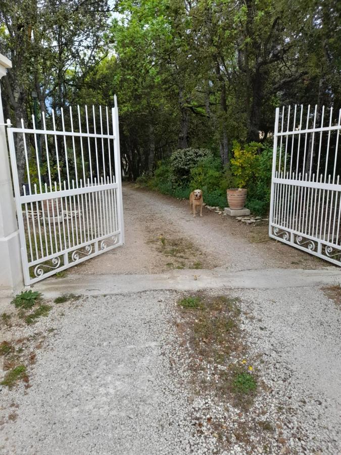 Villa Le Bosquet En Luberon. Menerbes Bagian luar foto